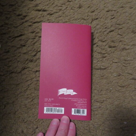 Willow Creek Cute as a KItten 2024-25 2 Year Calendar Planner 3 x 6 NEW - Picture 4 of 4